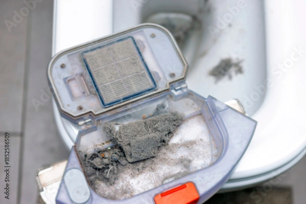 Obraz removing dust from a vacuum cleaner