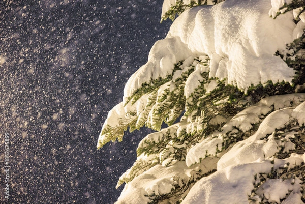 Obraz 温かい光が照らす雪のもみの木