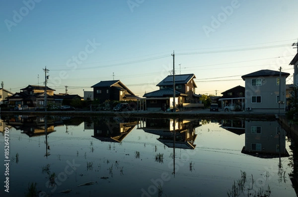 Fototapeta 水田に反射する美しい風景