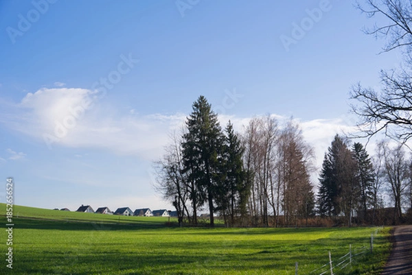 Obraz Picturesque idyllic landscape with agriculture field and woodland in the background near Swiss village of Höri on a sunny autumn day. Photo taken December 20th, 2025, Zurich Höri, Switzerland.