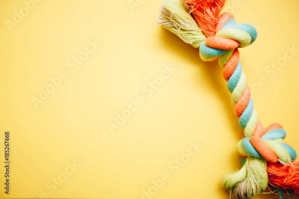 Obraz Colored rope bone dog toy