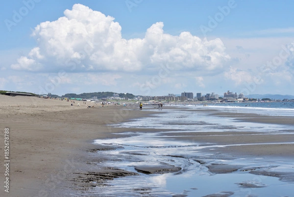 Obraz 潮が引いた片瀬西浜海岸で海に入るサーファー