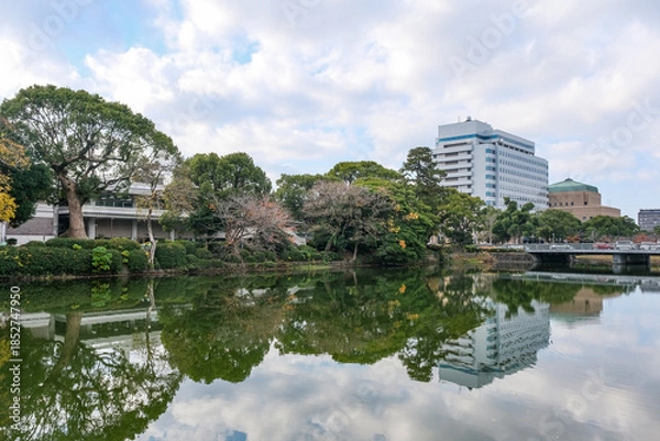 Obraz 佐賀城北濠に沿って植えられた木々