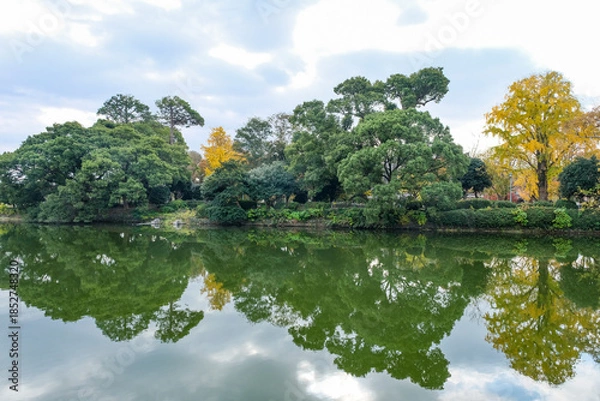 Obraz 佐賀城北濠に沿って植えられた木々