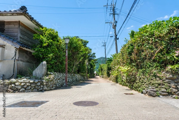 Obraz 石垣の塀が続く下甑島の手打麓武家屋敷通り