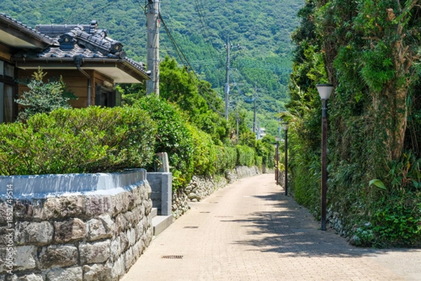 Obraz 石垣の塀が続く下甑島の手打麓武家屋敷通り