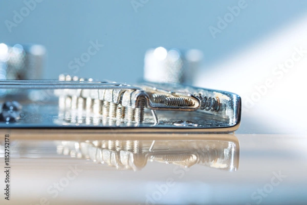 Obraz Electric guitar bridge reveals coiled strings anchored to gleaming metal. Reflections highlight instrument mechanical precision and musical craftsmanship. String saddles and guitar bridge assembly