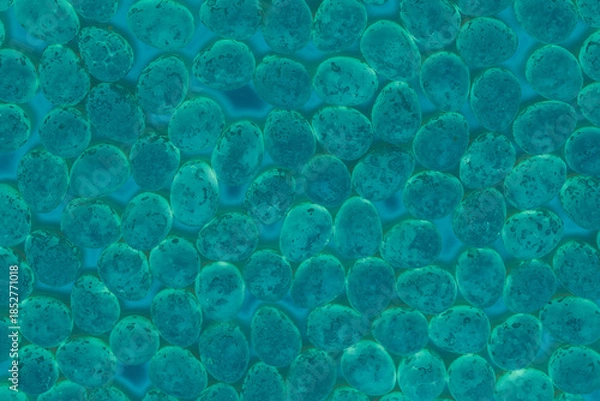 Obraz Green emerald abstract molecular spotted eggs