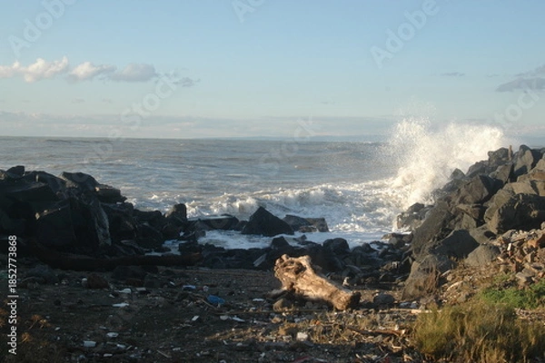 Obraz dog in the mountains