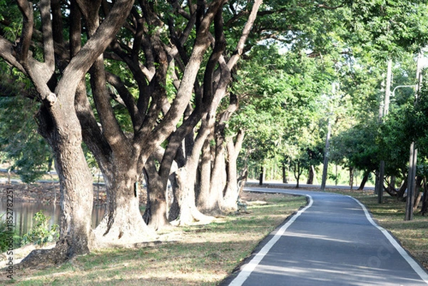 Obraz Walking street in public park