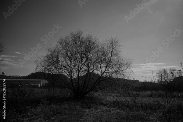 Obraz 영종도 풍경 