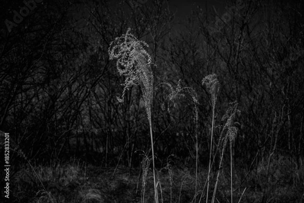 Obraz 영종도 풍경 