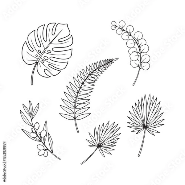 Obraz set of vector leaves