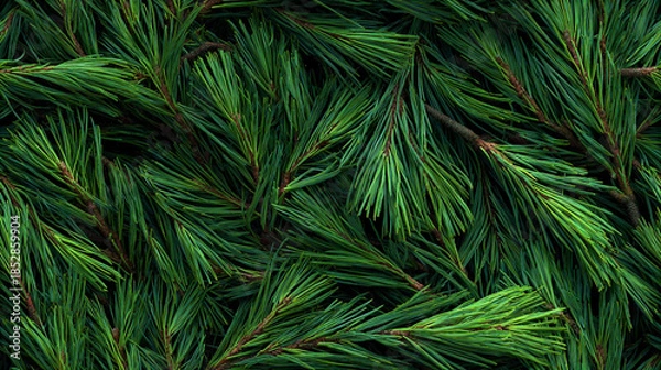 Fototapeta Seamless pattern of fresh green pine tree branches