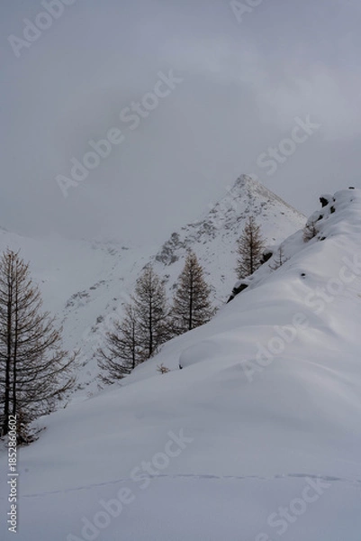 Obraz snow in the mountains