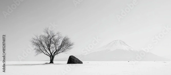 Obraz B&W landscape with bare tree, rock, snow-covered plain, and distant mountain