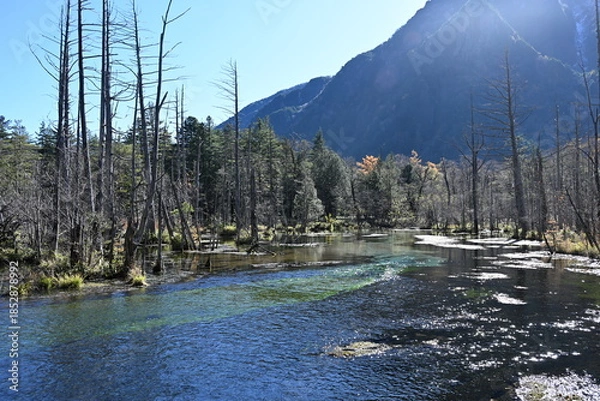 Obraz 秋の上高地