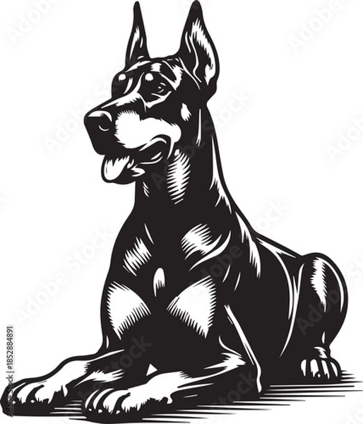 Obraz Dobermann Dog Vector	