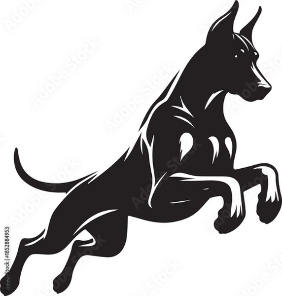 Obraz Dobermann Dog Vector	