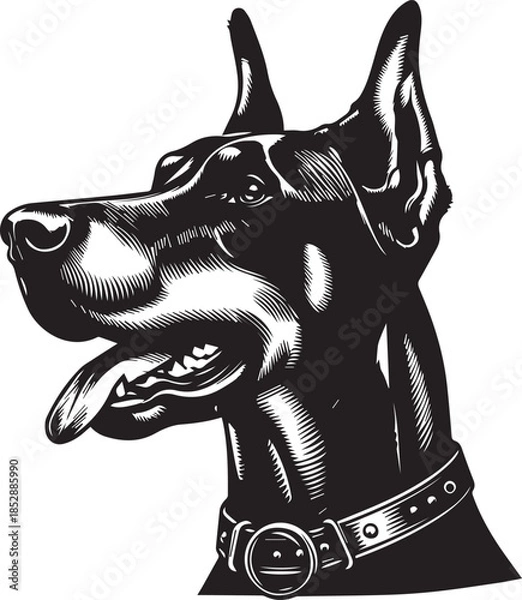 Obraz Dobermann Dog Vector	