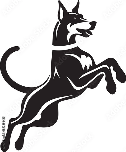 Obraz Dobermann Dog Vector	