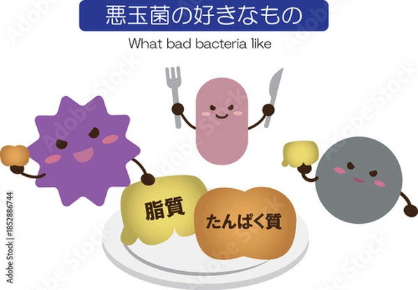 Fototapeta 悪玉菌の好きなもの　シンプル