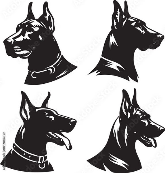 Obraz Dobermann Dog Vector	