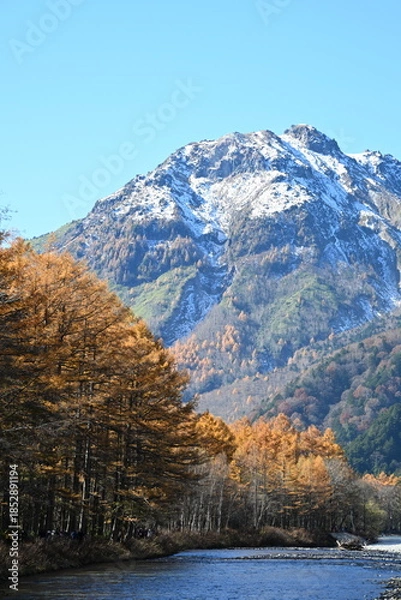 Obraz 秋の上高地　梓川と焼岳