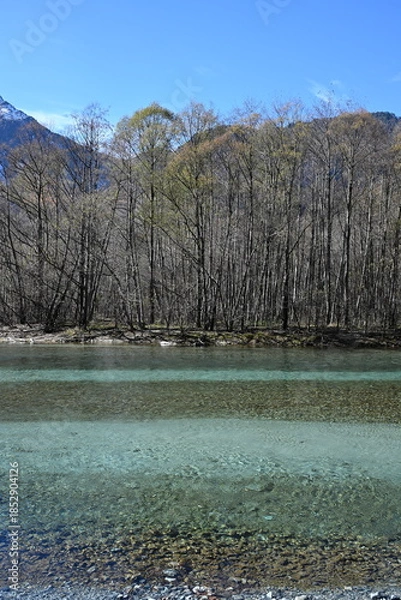 Obraz 秋の上高地　大正池