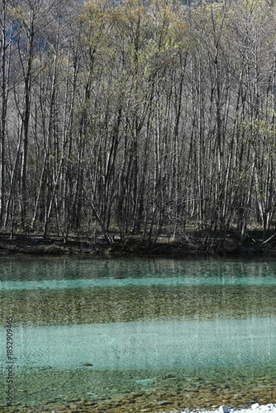 Obraz 秋の上高地　大正池