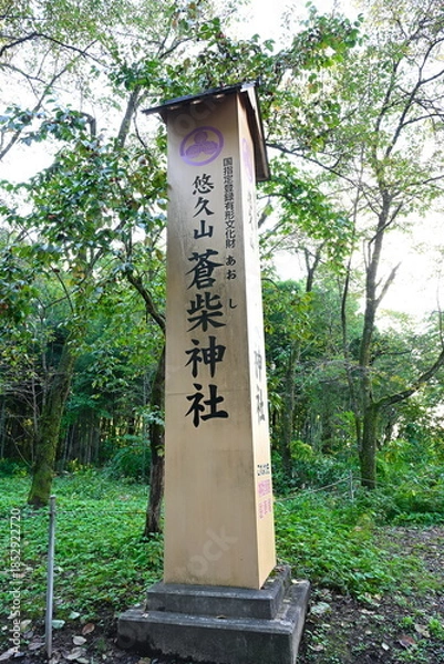 Obraz 森林に囲まれた蒼紫神社の赤い鳥居（新潟県長岡市）