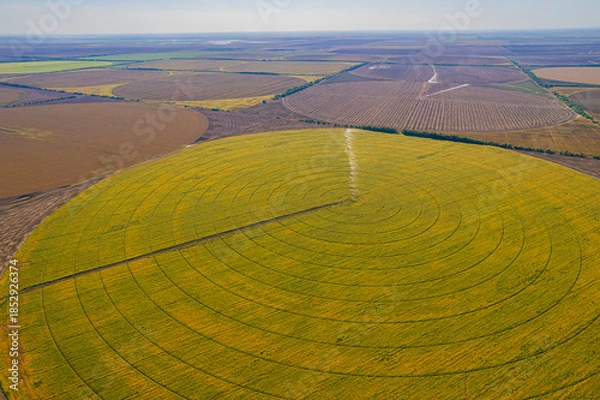 Obraz Circular agricultural field with irrigation system