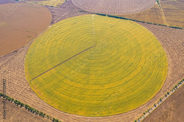 Obraz Circular agricultural field with irrigation system