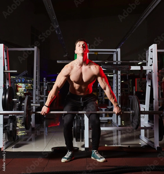 Fototapeta Muscular bodybuilder performing standing barbell upright rows in a gym.