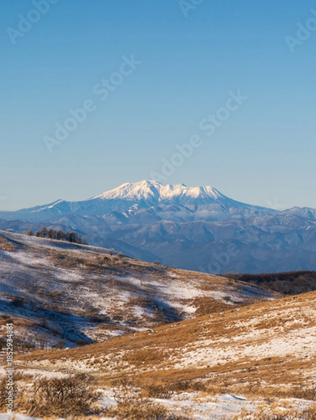Obraz 霧ヶ峰高原車山湿原散策道から朝の御嶽山