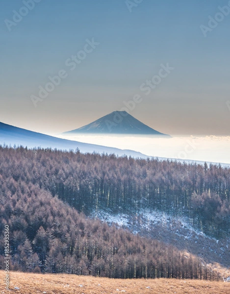 Obraz 冬の霧ヶ峰高原から白く輝く霧氷と富士山