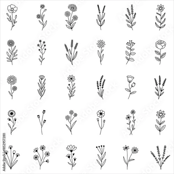 Obraz Cornflower SVG Clip Art