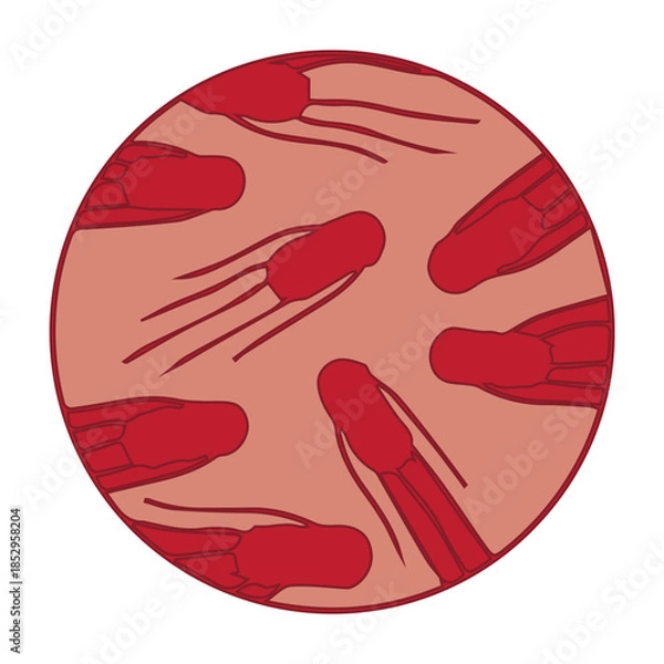 Obraz Bacteriology Illustration