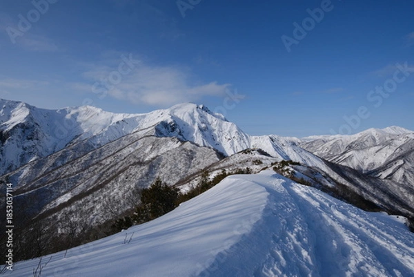 Obraz 冬 雪の谷川岳 日本