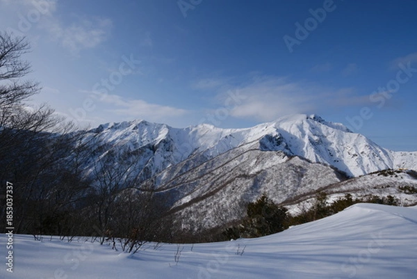 Obraz 冬 雪の谷川岳 日本