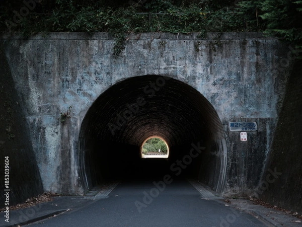 Obraz 山にある古い日陰のトンネル