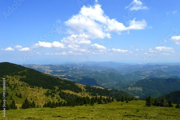 Obraz summer landscape on the mountain