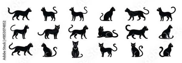 Obraz Black Cat Silhouettes On White Background