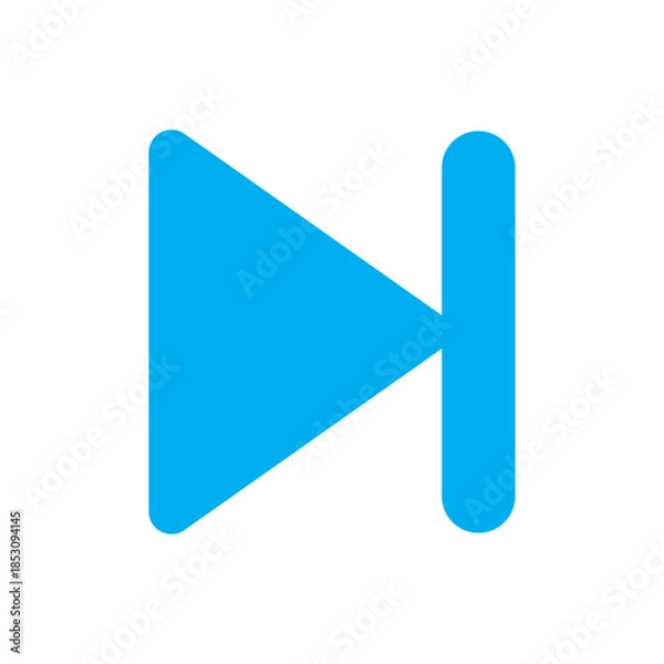 Fototapeta Skip Icon – Forward Navigation Media Control Symbol