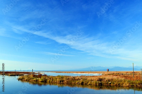 Obraz The gorgeous sea landscape of the British Columbia, Canada. Here in a little old fisherman village, Stevenson, Richmond the red autumn fields meet the blue water under a bright blue sky