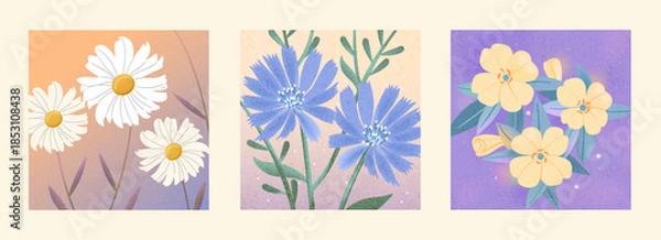 Fototapeta Soft floral illustrations with textured backgrounds, featuring daisy and wild flowers in pastel colors. Gentle botanical art for decor, prints, cards, and modern design projects.