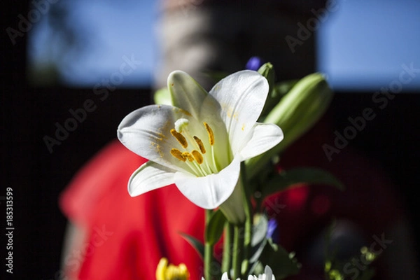 Fototapeta ゆりの向こうにお地蔵さん