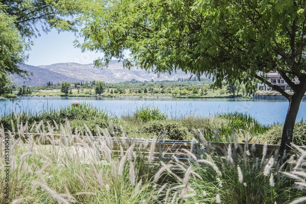 Obraz Lago piedra roja 