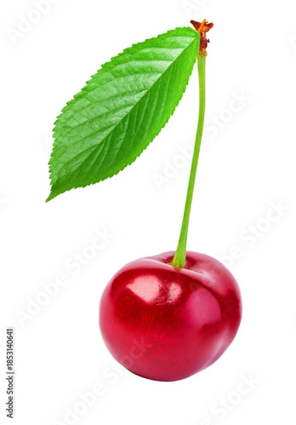 Obraz Single red ripe cherry with green leaf and stem