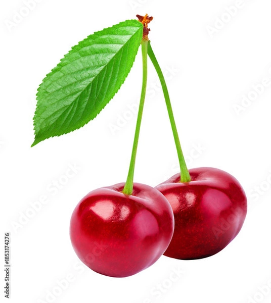 Obraz Two ripe fresh cherries with stem and a single green leaf